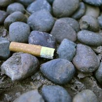 Avanza norma que regula los materiales de los cigarros y la prohibición de fumar o desechar colillas en zonas como playas, ríos y lagos