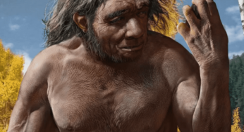 Científicos presentan al “Hombre Dragón”, nueva especie humana muy cercana al Homo Sapiens