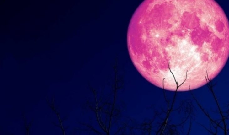 Cómo y cuándo ver la última superluna del año: la luna de fresa