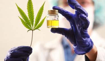 El Gobierno busca impulsar la producción industrial de cannabis medicinal