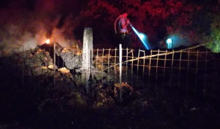 Incendio arrasa con 680 pacas de pastura en El Carrizo, Ahome