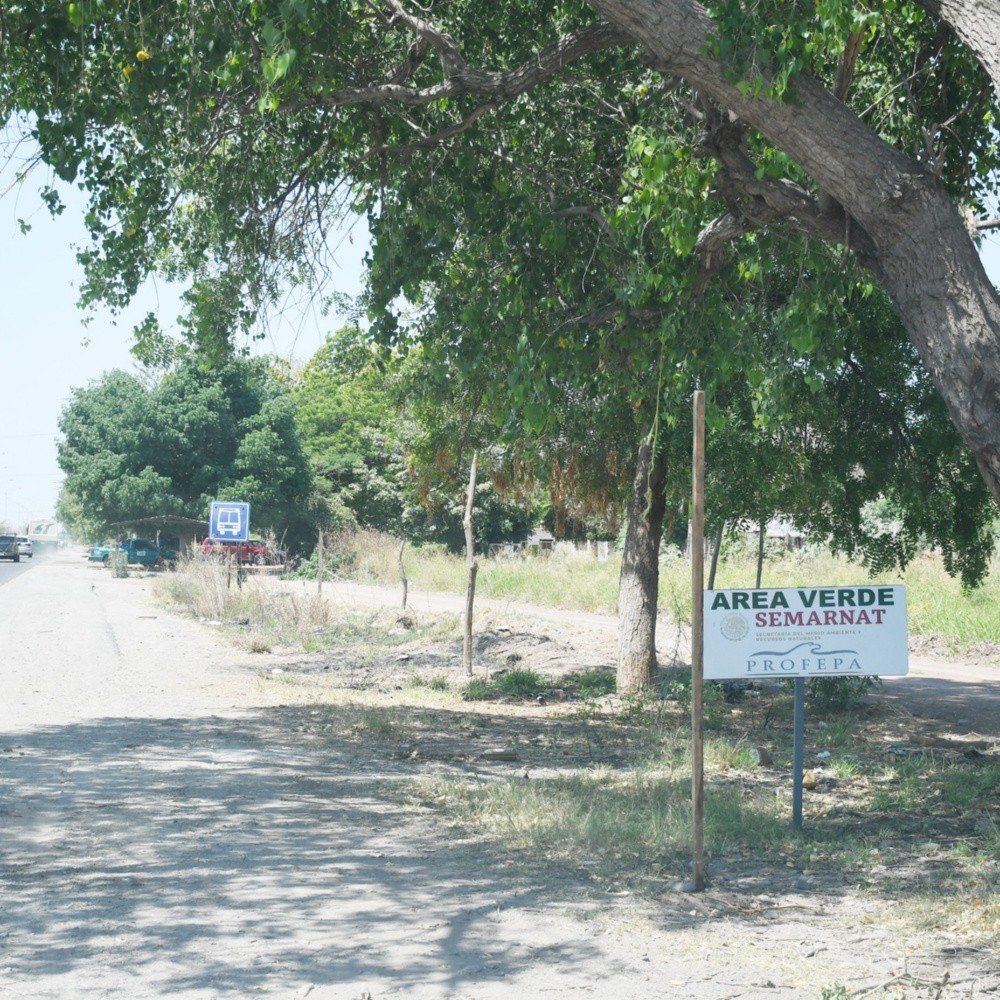 Invaden terrenos paralelos a carretera Los Mochis-San Blas