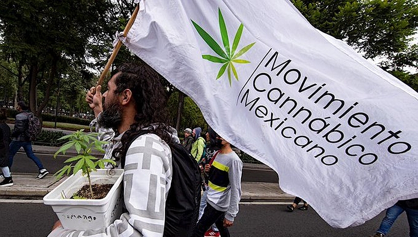 México despenaliza el consumo lúdico de marihuana pero no su comercialización