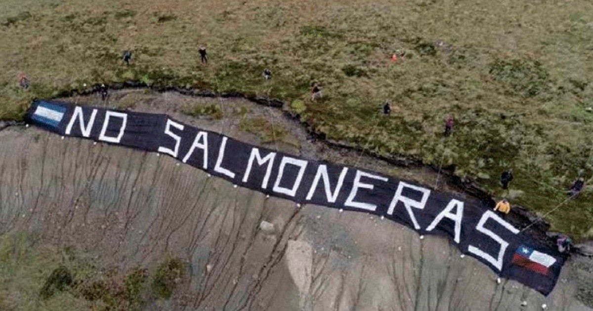 Tierra del Fuego debatirá la prohibición de los criaderos de salmón