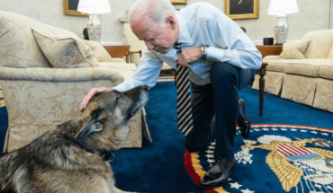 Tristeza mundial: Murió el pastor alemán de la familia Biden