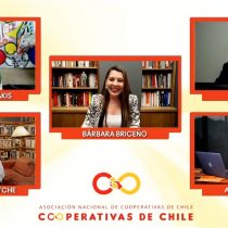 Día de las Cooperativas: Expertos destacan ventajas del modelo para el desarrollo de Chile