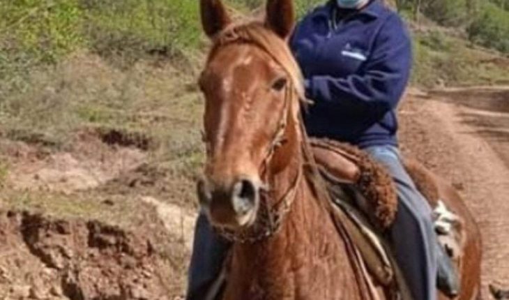 En Uruguay vacunadora va a caballo a buscar personas en Tacuarembó