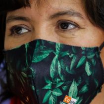 En una de sus primeras actividades como precandidata presidencial Yasna Provoste fue increpada y expulsada de feria en Puente Alto