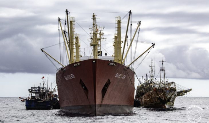 Flotas chinas se aproximan a Galápagos: organizaciones exigen mayor firmeza