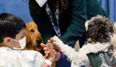 Organización que utiliza perros para la rehabilitación logra sede fija en La Reina