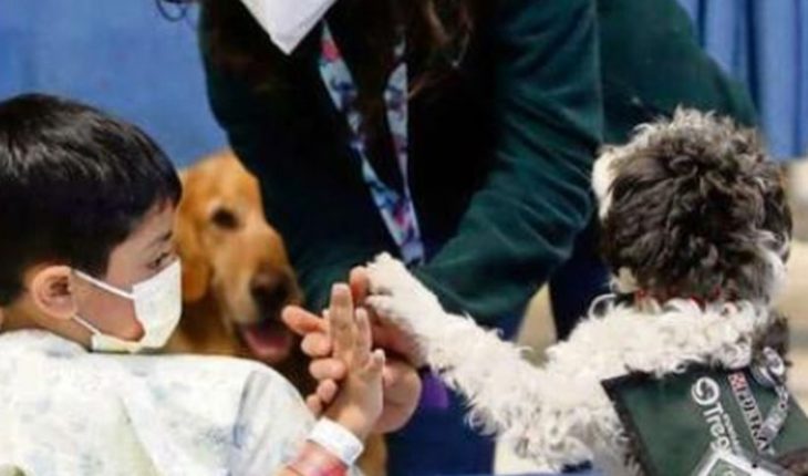 Organización que utiliza perros para la rehabilitación logra sede fija en La Reina