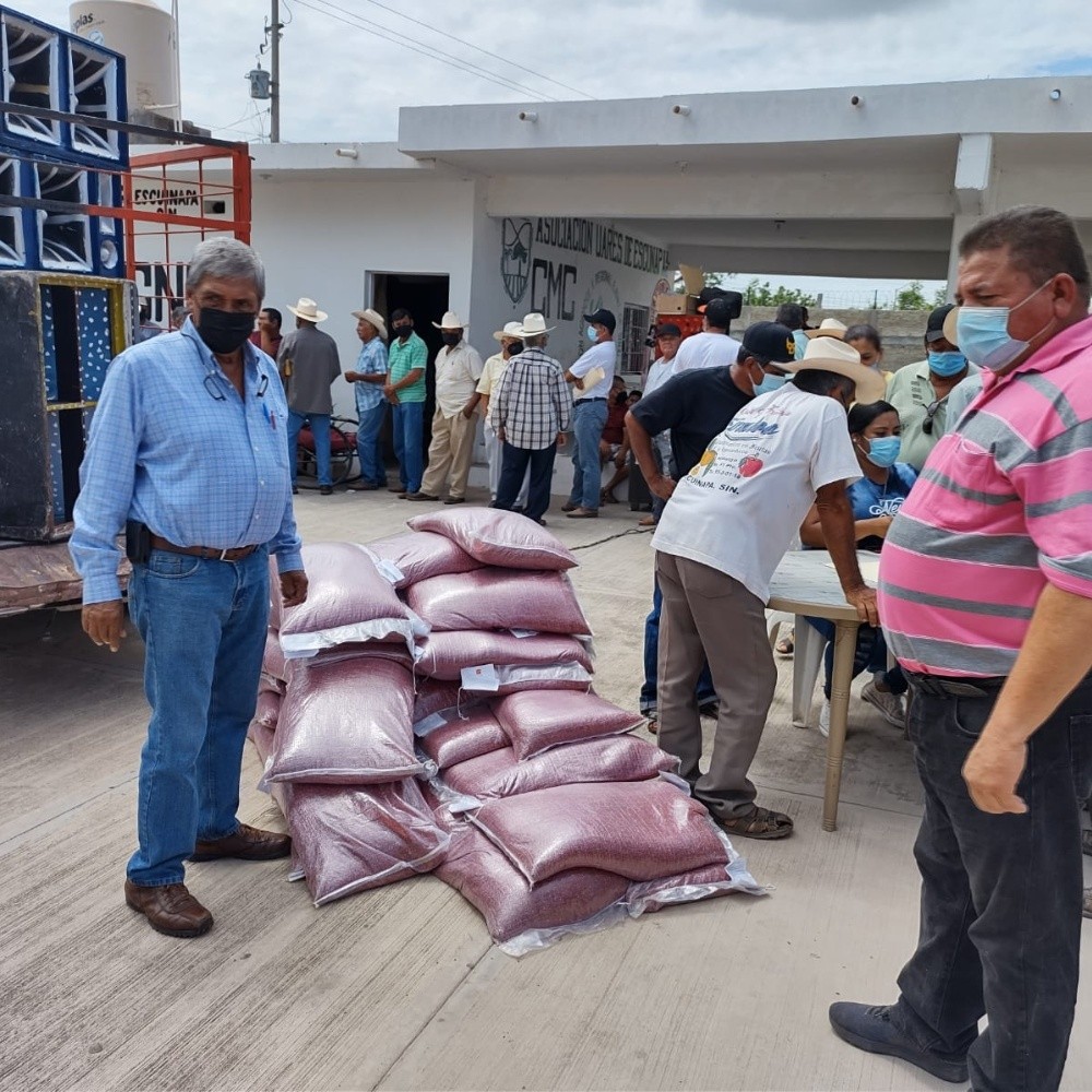 Reducen apoyos para alimentar al ganado en Escuinapa