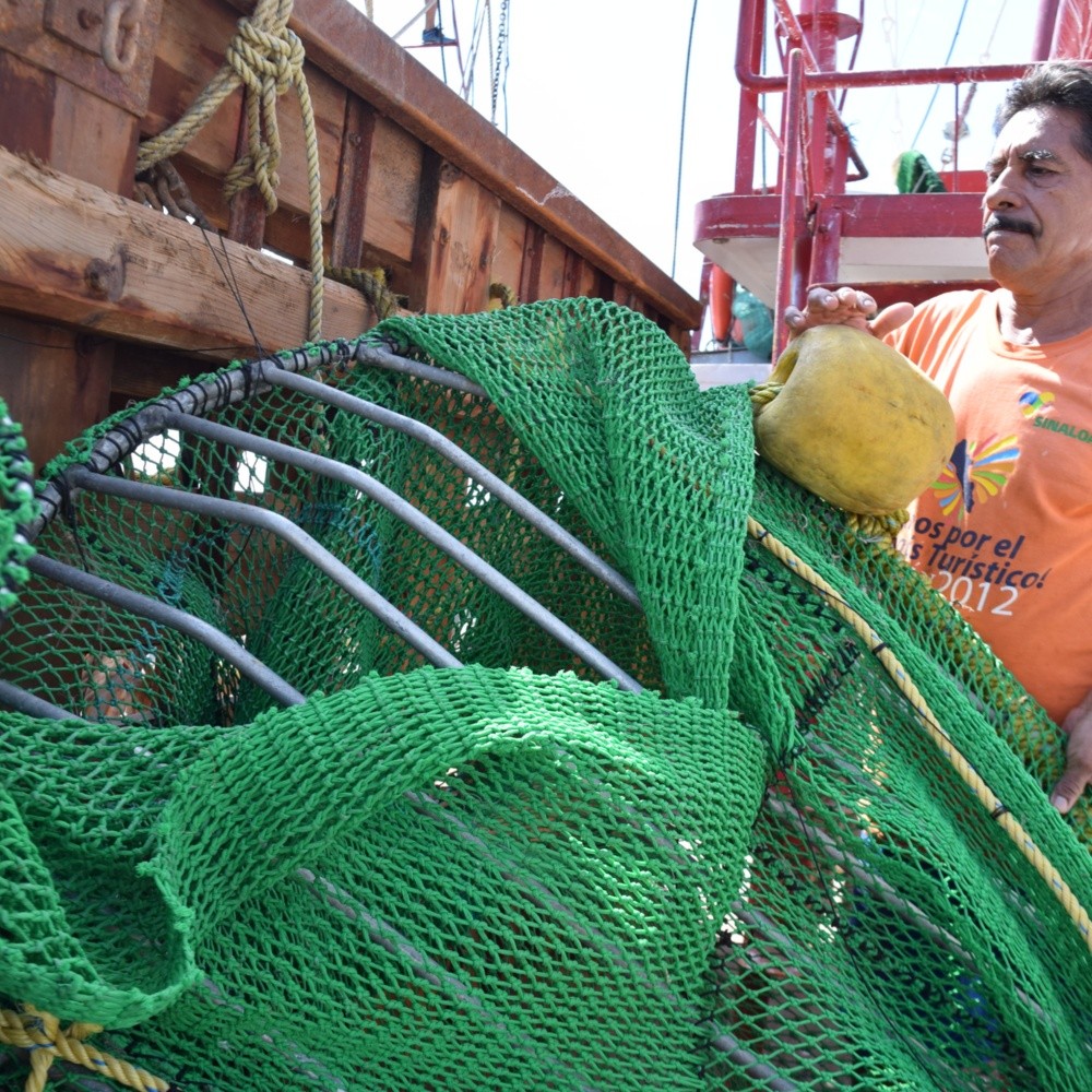 Se alista sector pesquero de Mazatlán para zafra camaronera