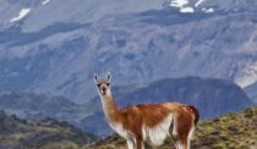 Estrategia de Comunidades Portal: aportando a los desafíos de la conservación en la Patagonia chilena