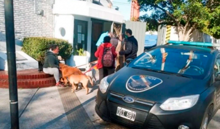 Un conductor atropelló a un paseador y mató a 4 perros en el barrio de Belgrano