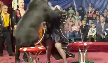 translated from Spanish: A bear from a Russian circus attacked his coach in the middle of a show