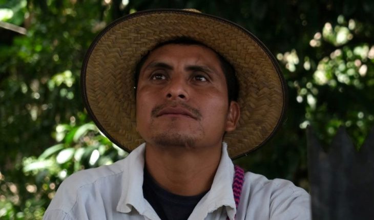 translated from Spanish: Alleged murderer of defender Simón Pedro Pérez López arrested in Chiapas