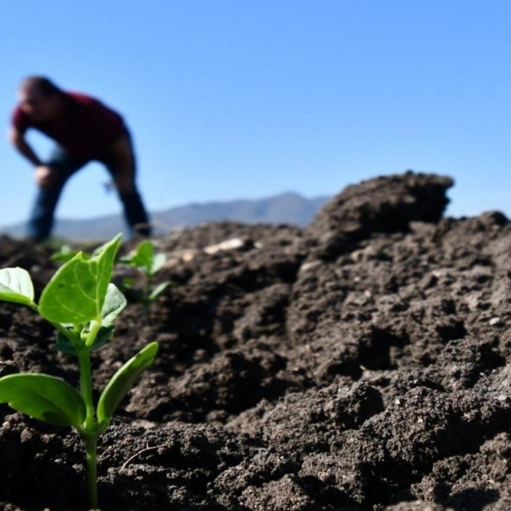 Farmers urged not to exploit soil in Sinaloa