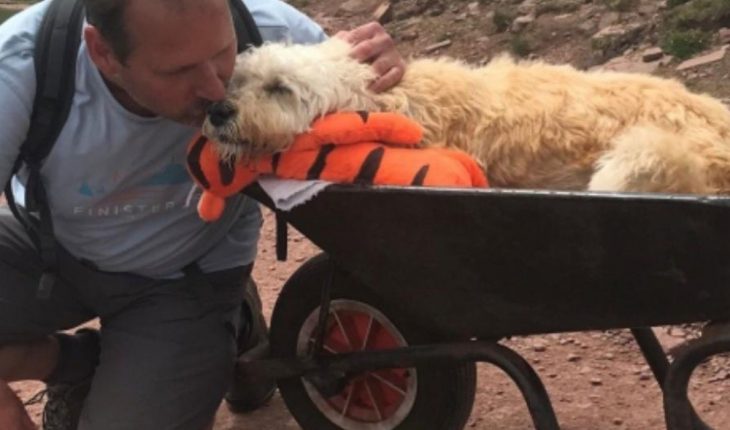 translated from Spanish: Puppy with cancer is taken in a wheelbarrow to his favorite mountain