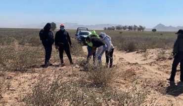 translated from Spanish: Trackers for Peace in Sinaloa find clandestine grave in Guacaporito