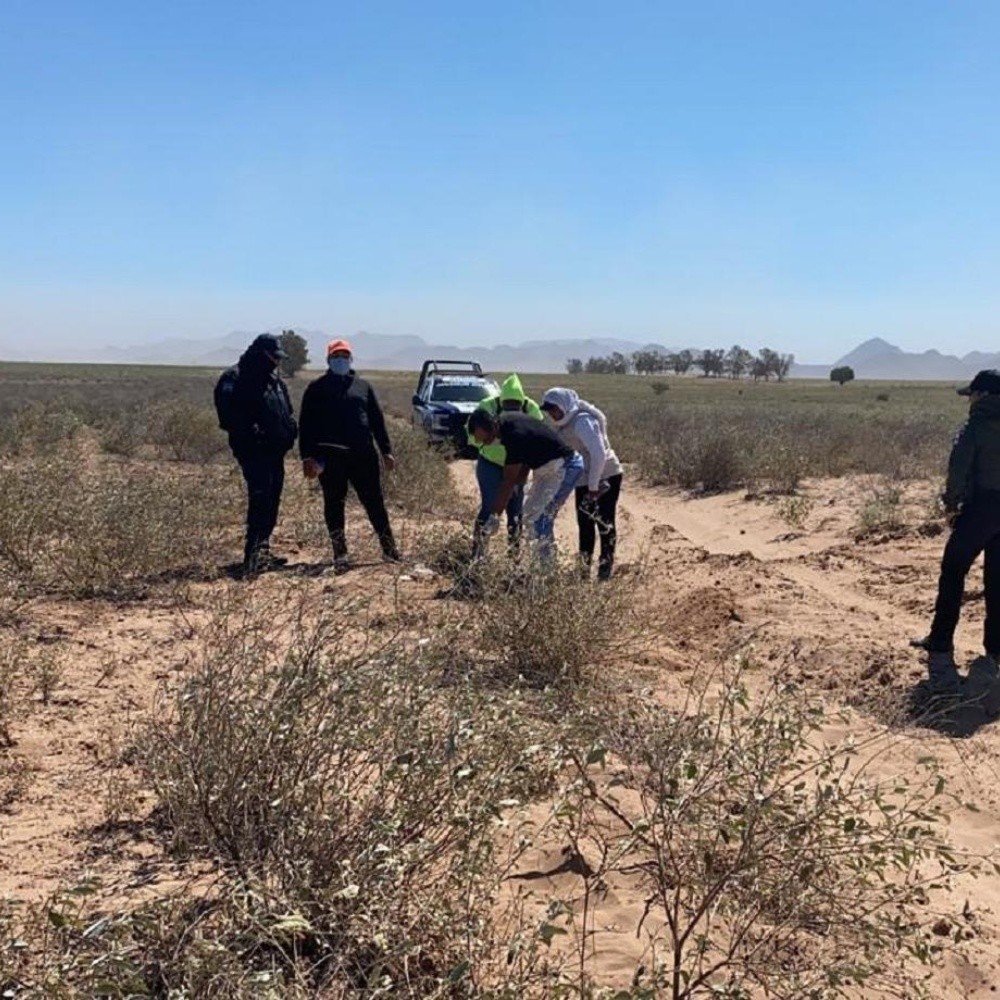 Trackers for Peace in Sinaloa find clandestine grave in Guacaporito