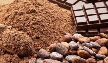 ¿Por qué el 7 de julio se celebra el Día del Cacao?