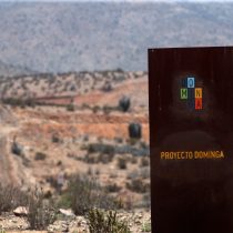 Andes Iron tras aprobación de Dominga: “Vamos a proteger el patrimonio ambiental de la zona y no a destruir como señalan algunas personas sin ningún sustento”