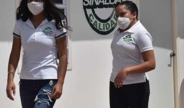 Color del semáforo en Sinaloa no debe determinar la salud