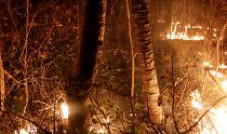 Incendios arrasan más de 150.000 hectáreas de bosque en Bolivia
