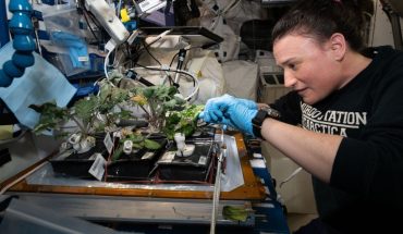 NASA: El Advanced Plant Experiment-08 para hacer crecer plantas en el espacio