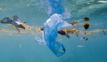 translated from Spanish: Join the fight for a plastic-free future in the oceans