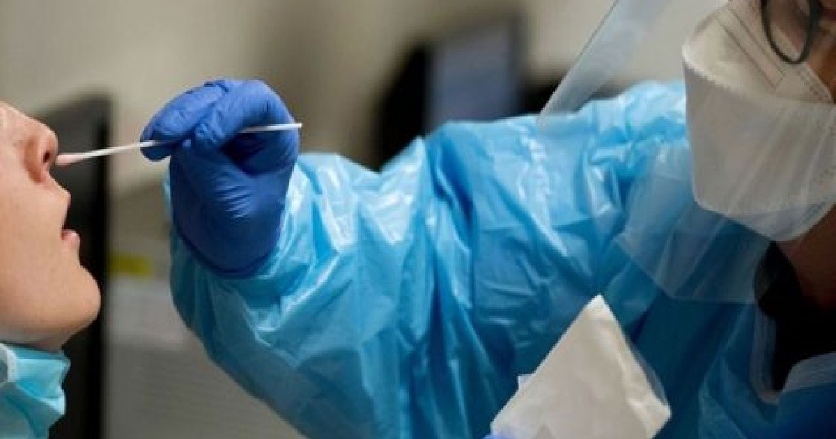 Salta: Five new cases of coronavirus variants confirmed