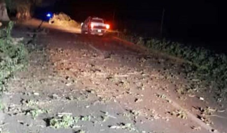 Strong wind causes falling trees on the road Los Mochis
