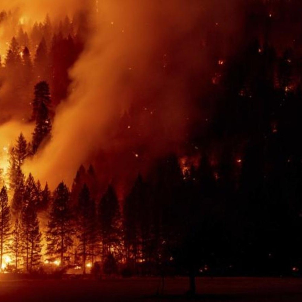 Wildfire in California grows; could reach Lake Tahoe