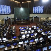 Diputados UDI llaman a parlamentarios a «aprobar por unanimidad» ley corta de pensiones