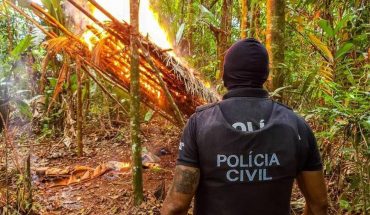 La estrecha relación entre la cocaína y la madera ilegal en la Amazonia