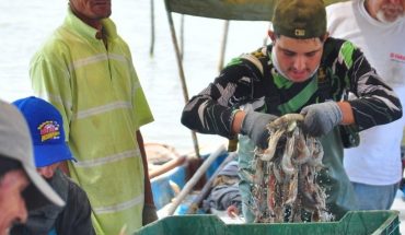Pescadores de Ahome obtienen las primeras capturas de camarón