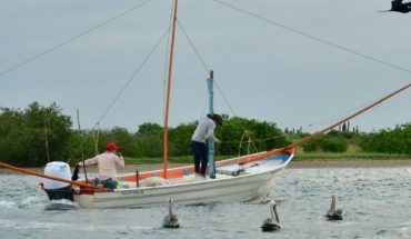 Pescadores de Angostura continúan capturando poco camarón