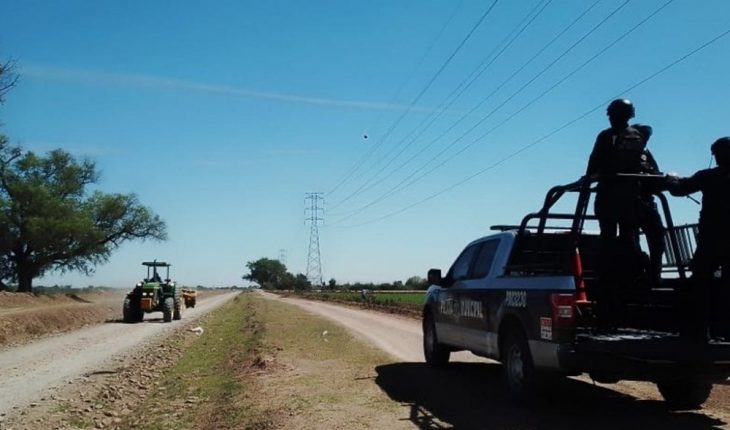Policías de Ahome, Sinaloa previenen robo de mango y camarón de granja