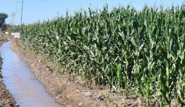 Solicita Conagua iniciar ciclo agrícola en Sinaloa con rescate de agua