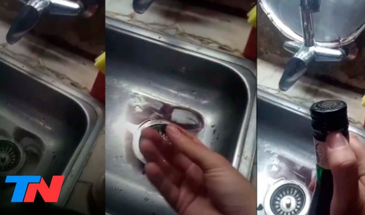 Video: ALERTA POR LA VENTA DE FERNET TRUCHO EN MENDOZA : las botellas tenían agua mezclada con tinta