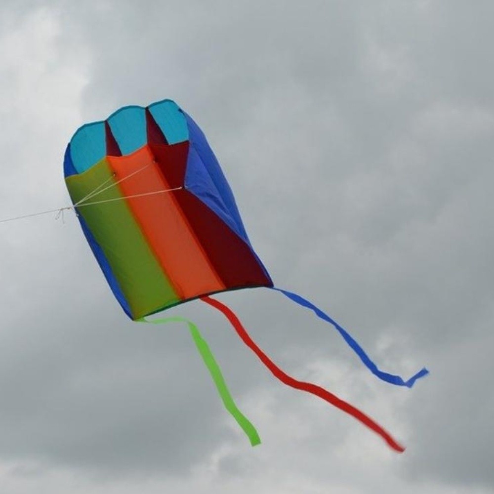 Child dies electrocuted while flying a kite made of wire