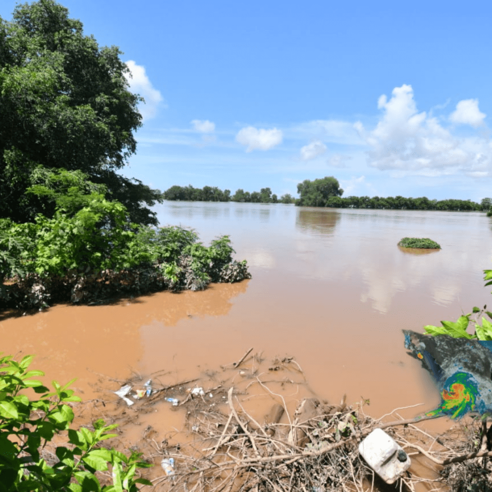 Nora leaves Sinaloa farmers and ranchers in total loss