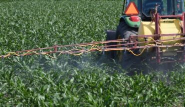 Aumento en fertilizantes afectará ciclo agrícola en el Évora en Sinaloa