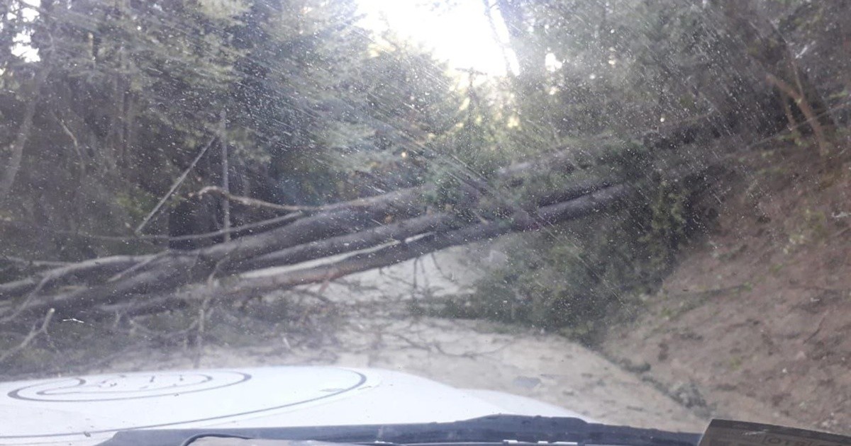 Bariloche: Un fuerte temporal de viento azotó varios puntos de la ciudad