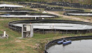 Call to renew, Special Electric Energy Program for Aquaculture Use 2022