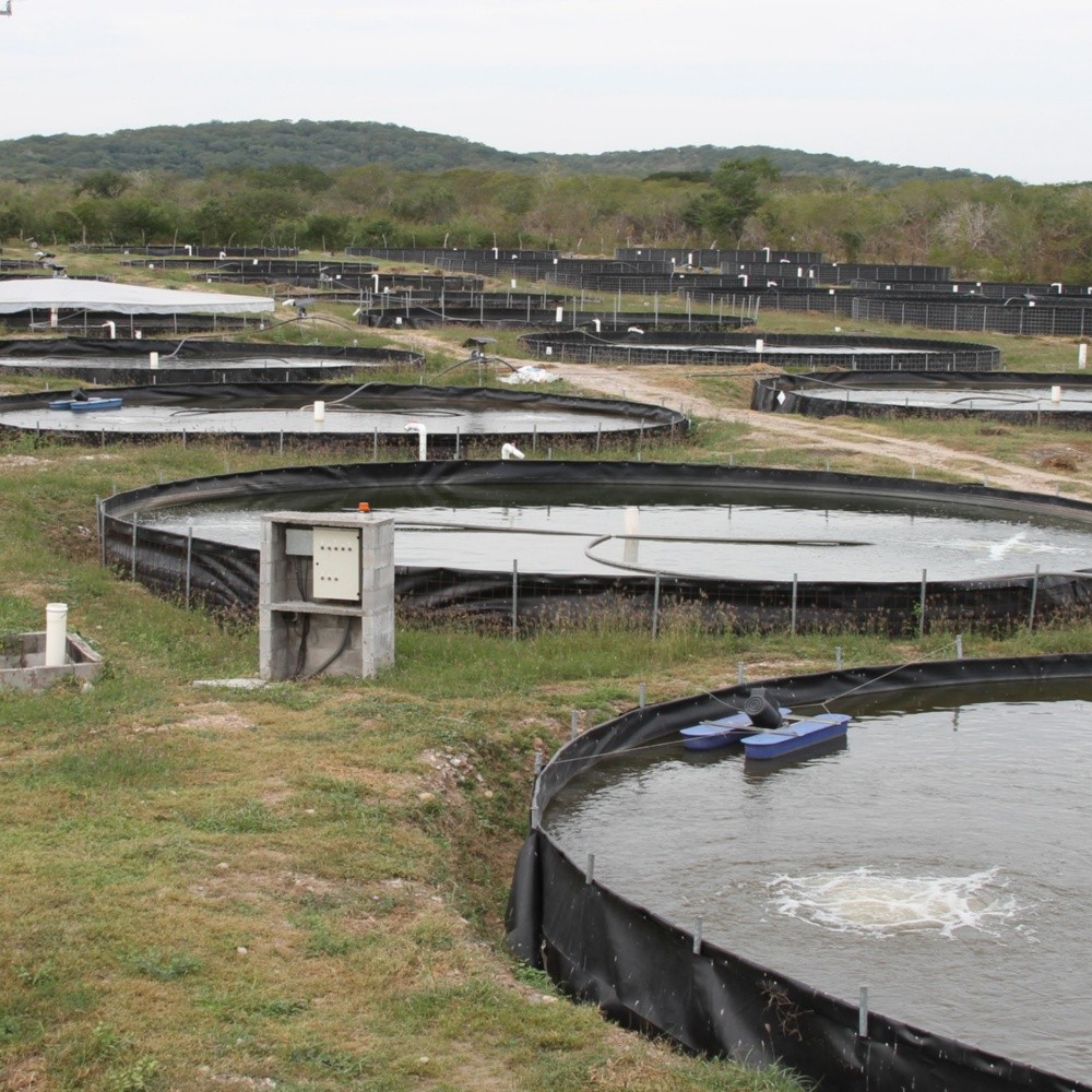 Call to renew, Special Electric Energy Program for Aquaculture Use 2022