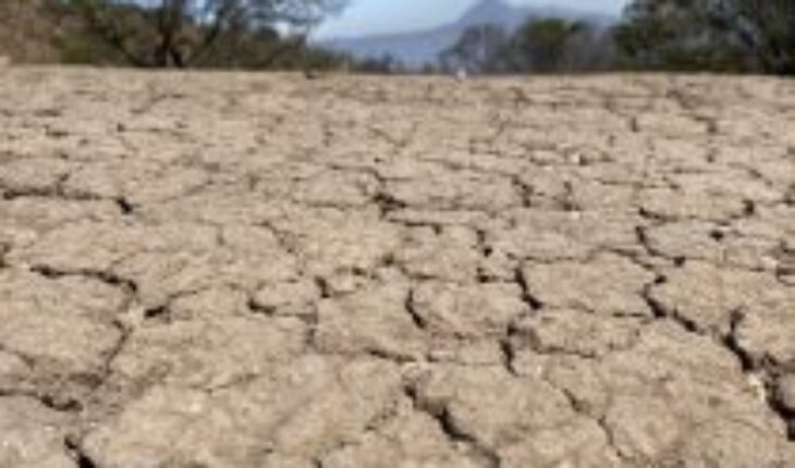 translated from Spanish: Water scarcity and nature-based solutions