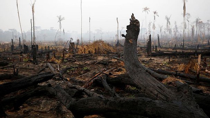 Bolsonaro says the Amazon "doesn't catch fire" because it's a "humid" forest