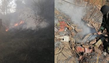 Forest fires damaged almost 2 thousand m2 of grass